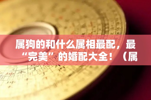 属狗的和什么属相最配，最“完美”的婚配大全！（属狗的和什么属相最配婚姻最合适）