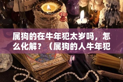 属狗的在牛年犯太岁吗，怎么化解？（属狗的人牛年犯太岁吗）