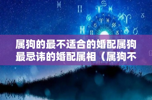 属狗的最不适合的婚配属狗最忌讳的婚配属相（属狗不易婚配）