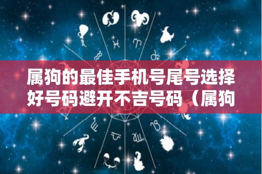 属狗的最佳手机号尾号选择好号码避开不吉号码（属狗人的旺财手机号尾号）