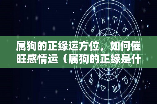 属狗的正缘运方位，如何催旺感情运（属狗的正缘是什么）