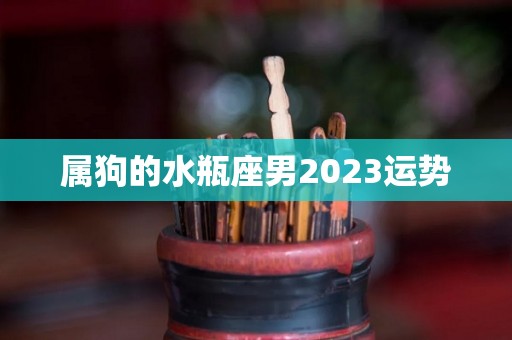 属狗的水瓶座男2023运势