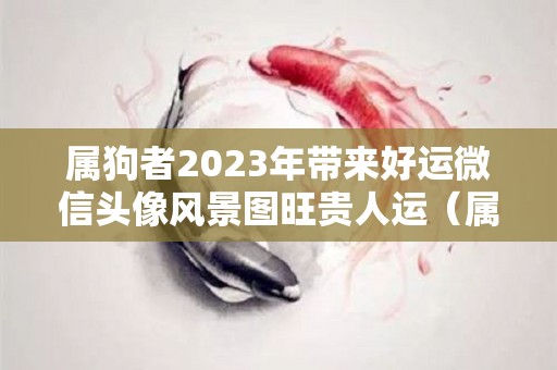 属狗者2023年带来好运微信头像风景图旺贵人运（属狗2020微信头像）