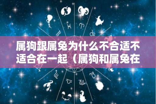属狗跟属兔为什么不合适不适合在一起（属狗和属兔在一起真的很倒霉）