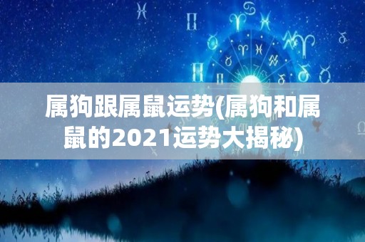 属狗跟属鼠运势(属狗和属鼠的2021运势大揭秘)