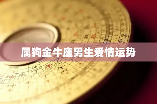属狗金牛座男生爱情运势