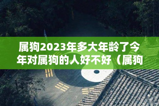 属狗2023年多大年龄了今年对属狗的人好不好（属狗的2023年运势和财运怎么样）