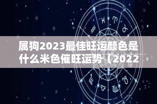 属狗2023最佳旺运颜色是什么米色催旺运势（2022年属狗颜色）