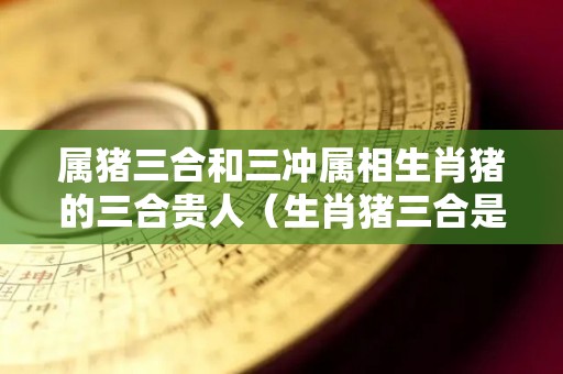 属猪三合和三冲属相生肖猪的三合贵人（生肖猪三合是什么）