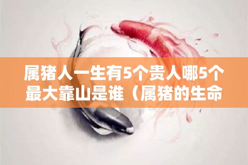 属猪人一生有5个贵人哪5个最大靠山是谁（属猪的生命中的贵人）