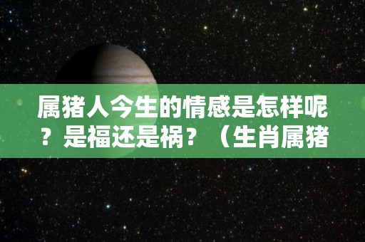 属猪人今生的情感是怎样呢？是福还是祸？（生肖属猪的人一生命运怎么样）