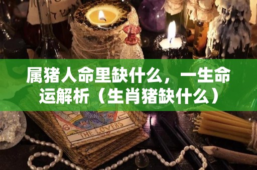 属猪人命里缺什么，一生命运解析（生肖猪缺什么）