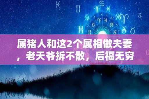 属猪人和这2个属相做夫妻，老天爷拆不散，后福无穷（属猪的人跟属什么的人合财）