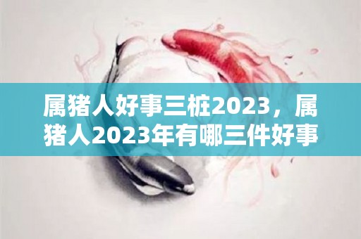 属猪人好事三桩2023，属猪人2023年有哪三件好事（属猪的2023年运势和财运怎么样）