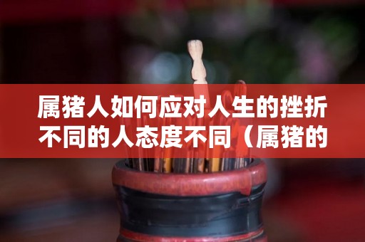 属猪人如何应对人生的挫折不同的人态度不同（属猪的人怎么办）