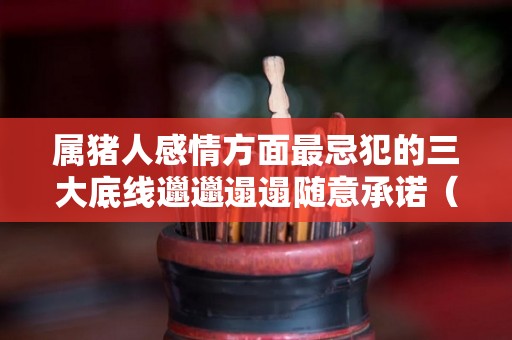 属猪人感情方面最忌犯的三大底线邋邋遢遢随意承诺（属猪的感情运势如何）