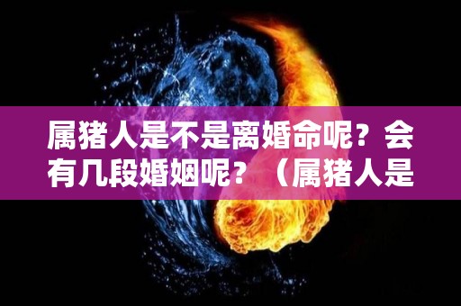 属猪人是不是离婚命呢？会有几段婚姻呢？（属猪人是不是离婚命呢?会有几段婚姻呢）