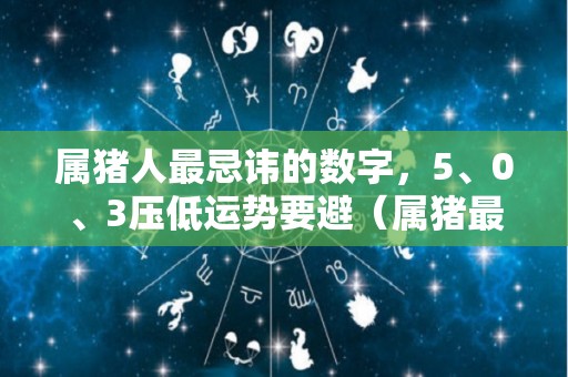 属猪人最忌讳的数字，5、0、3压低运势要避（属猪最忌讳的是什么）