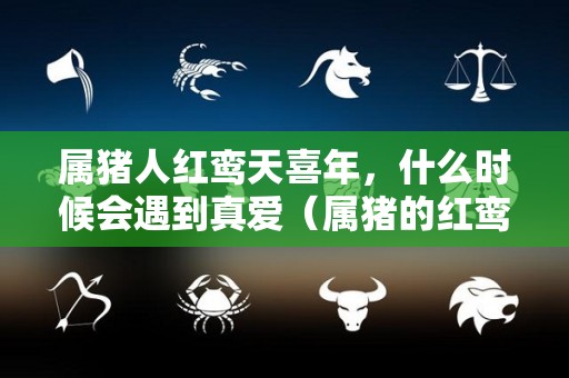 属猪人红鸾天喜年，什么时候会遇到真爱（属猪的红鸾星）