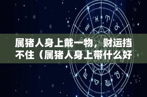 属猪人身上戴一物，财运挡不住（属猪人身上带什么好）