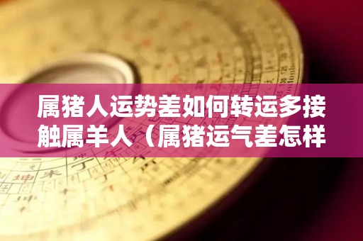 属猪人运势差如何转运多接触属羊人（属猪运气差怎样转运）