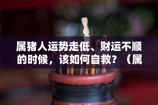 属猪人运势走低、财运不顺的时候，该如何自救？（属猪运气不好）