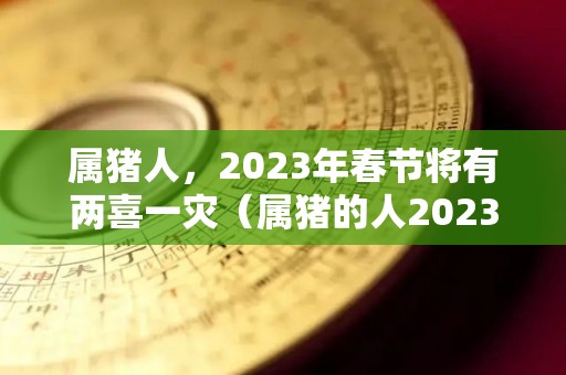 属猪人，2023年春节将有两喜一灾（属猪的人2023年适合生孩子吗）