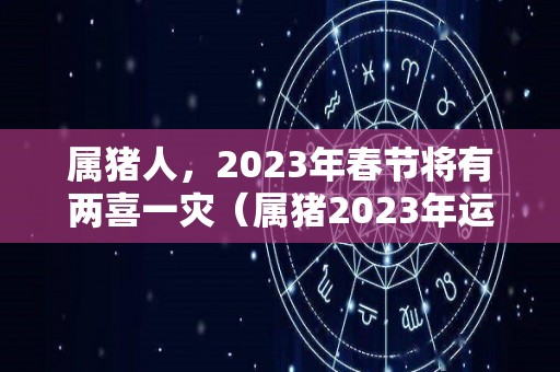 属猪人，2023年春节将有两喜一灾（属猪2023年运势及运程 2023年属猪人的全年每月运势）