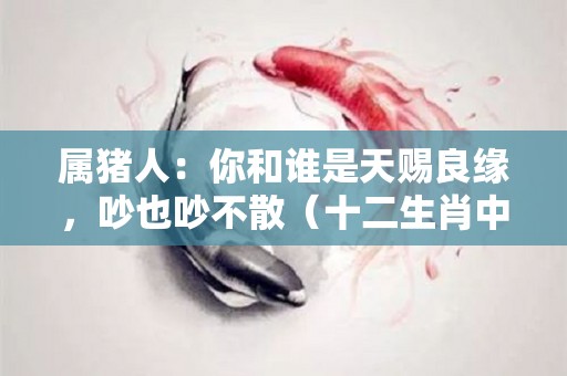 属猪人：你和谁是天赐良缘，吵也吵不散（十二生肖中,属猪的人和哪个生肖婚配能幸福美满?）