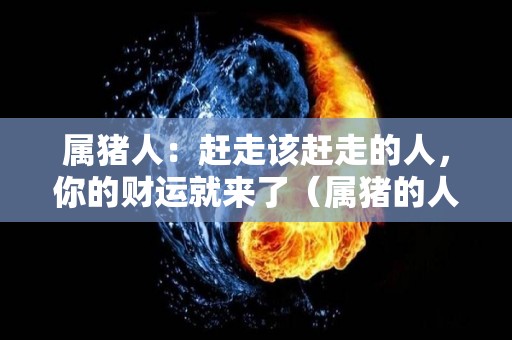 属猪人：赶走该赶走的人，你的财运就来了（属猪的人怎么办）