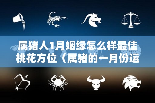 属猪人1月姻缘怎么样最佳桃花方位（属猪的一月份运势）