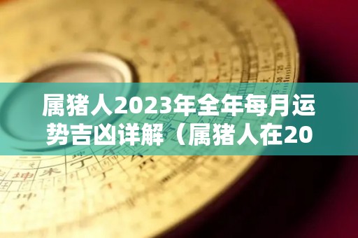 属猪人2023年全年每月运势吉凶详解（属猪人在2023年的全年运势）