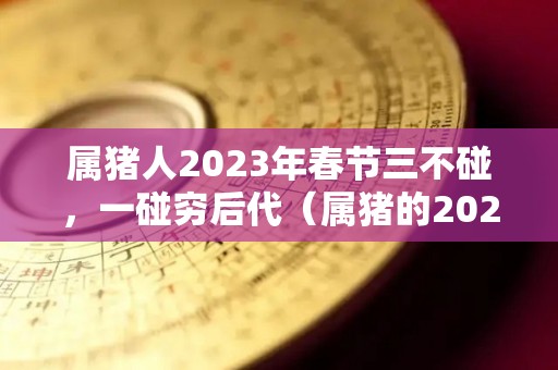 属猪人2023年春节三不碰，一碰穷后代（属猪的2023年运势和财运怎么样）