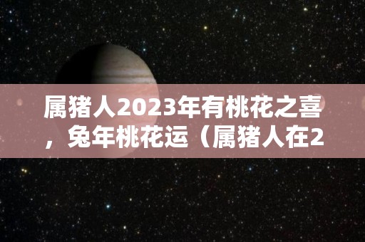 属猪人2023年有桃花之喜，兔年桃花运（属猪人在2022年桃花运怎么样）