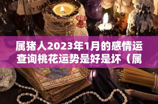 属猪人2023年1月的感情运查询桃花运势是好是坏（属猪在2023年运势怎么样）