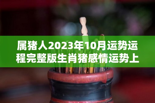 属猪人2023年10月运势运程完整版生肖猪感情运势上需多花心事（属猪2023年运势及运程 2023年属猪人的全年每月运势）