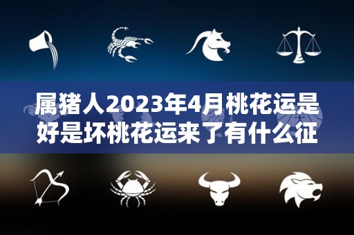 属猪人2023年4月桃花运是好是坏桃花运来了有什么征兆的简单介绍
