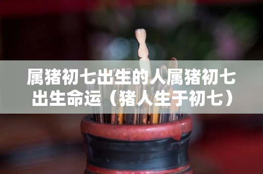 属猪初七出生的人属猪初七出生命运（猪人生于初七）