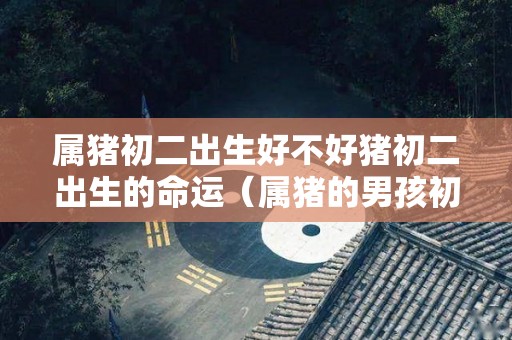 属猪初二出生好不好猪初二出生的命运（属猪的男孩初二生不好）
