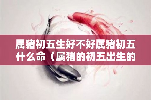 属猪初五生好不好属猪初五什么命（属猪的初五出生的人命好不好）