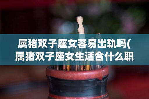 属猪双子座女容易出轨吗(属猪双子座女生适合什么职业)