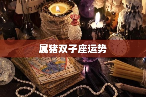 属猪双子座运势