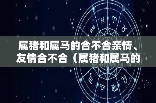 属猪和属马的合不合亲情、友情合不合（属猪和属马的人合吗）