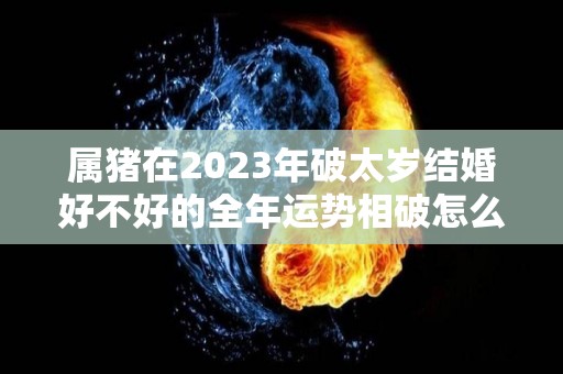 属猪在2023年破太岁结婚好不好的全年运势相破怎么化解（2022年属猪破太岁怎么化解）