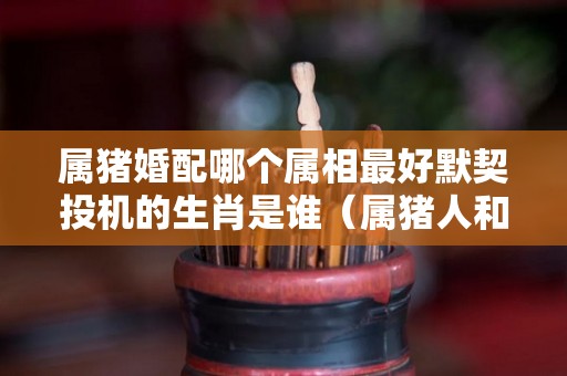 属猪婚配哪个属相最好默契投机的生肖是谁（属猪人和什么生肖合作最好）