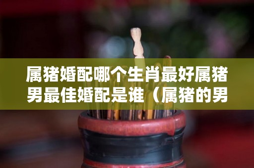 属猪婚配哪个生肖最好属猪男最佳婚配是谁（属猪的男性和哪一个最配）