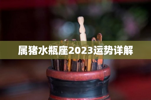 属猪水瓶座2023运势详解