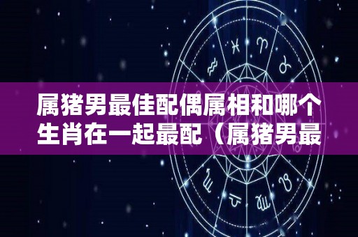 属猪男最佳配偶属相和哪个生肖在一起最配（属猪男最配的属相是什么）
