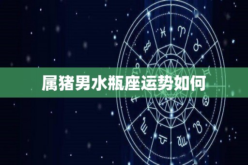 属猪男水瓶座运势如何