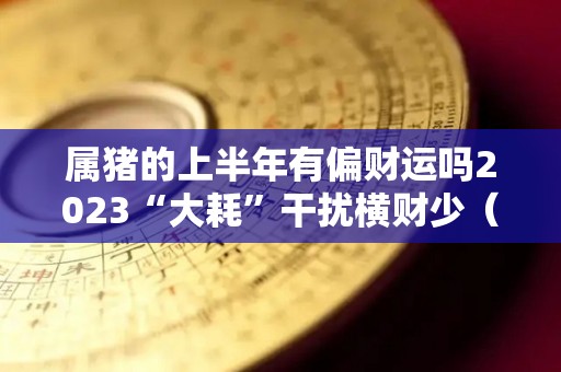 属猪的上半年有偏财运吗2023“大耗”干扰横财少（属猪2021年上半年可以跳槽吗）